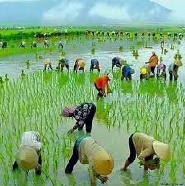 ১৯৭২-২০০০ পর্বের ছোটগল্পসমূহে গ্রাম-বাংলার আর্থ-সামাজিক ও সাংস্কৃতিক চিত্র পর্ব ২