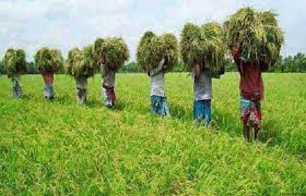 ১৯৭২-২০০০ পর্বের ছোটগল্পসমূহে গ্রাম-বাংলার আর্থ-সামাজিক ও সাংস্কৃতিক চিত্র পর্ব ২