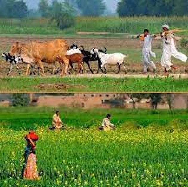 ১৯৭২-২০০০ কালসীমায় বাংলাদেশের আর্থ-সামাজিক-রাজনৈতিক পরিস্থিতি ও গ্রামবাংলা