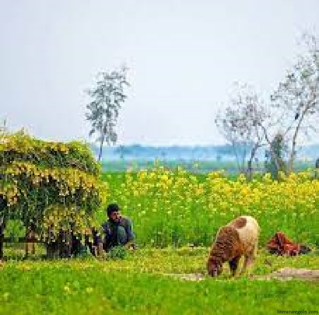 ১৯৭২-২০০০ কালসীমায় বাংলাদেশের আর্থ-সামাজিক-রাজনৈতিক পরিস্থিতি ও গ্রামবাংলা