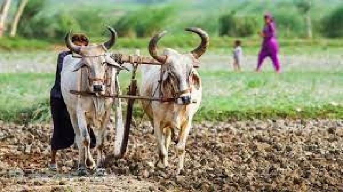 বাংলাদেশের ছোটগল্পে গ্রামজীবনের প্রস্তাবনা